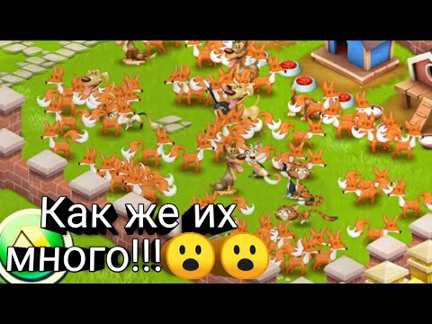 Видео: Ловлю лис//Глобалка//Куча ваучеров//Все про Нау Dау