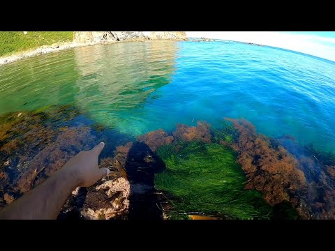 Видео: Ольгинский район, Японское море, никого кроме нас.