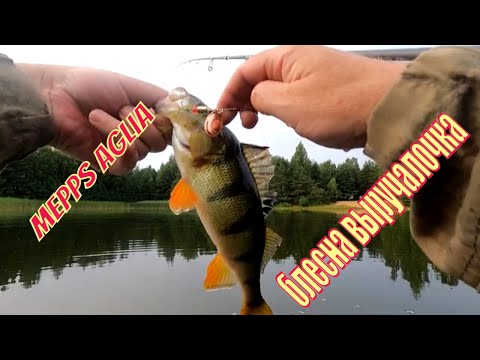 Видео: ПОППЕРЫ ЗАВАЛИЛИ РЫБАЛКУ В ЗАБРОДАХ. ВЫРУЧИЛА Mepps Aglia
