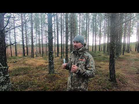 Видео: Я в ШОКЕ от манка на белолобого гуся от Ивана Золотарёва.