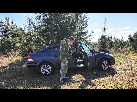 Видео: ЗА ГРИБАМИ В ПОЛЯ. СБОР СОЛЕНЫХ ГРИБОВ - РЫЖИКИ. ЛЕТО ЗАСУХА.