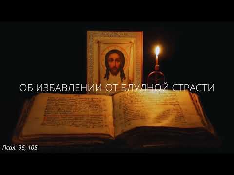 Видео: 48. Об избавлении от блудной страсти