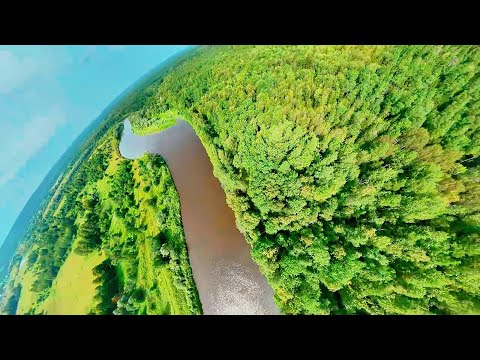 Видео: Рыбалка на реке Клязьма во Владимирской области.