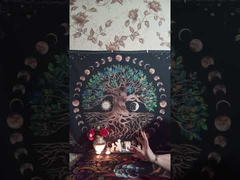 Видео: 🕊️ТАРО ДЛЯ МУЖЧИН. События ближайших 2ух дней в вашей жизни#мысличувствадействия #tarot 🕊️