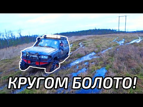 Видео: Оффроад соревнования. Болото, густой лес и торф.