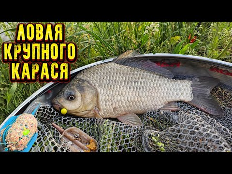 Видео: Рыбалка на ФЛЭТ ФИДЕР летом ловля карася в августе июле