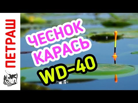 Видео: Рыбалка. КАРАСЬ ДУРЕЕТ от чеснока и WD-40. Поплавок в кувшинке!