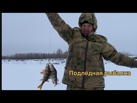 Видео: Дойдубар балыктааһын...Дойдум сылаас тыына...