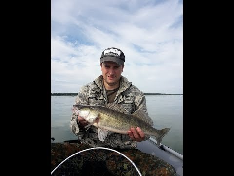 Видео: Ловля судака на джиг 2019