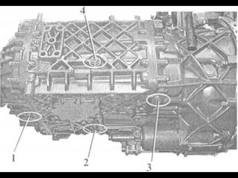 Видео: Замена масла КПП ZF16 Камаз 6520