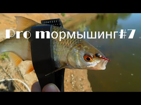 Видео: Pro mормышинг#7 /уклейка/плотва/окунь/