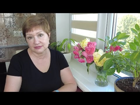 Видео: ЖИТЬ- НЕ ТУЖИТЬ МОЖНО НАУЧИТЬСЯ/ Закрытие дачного сезона/ Беларусь/ Минск/ Влог