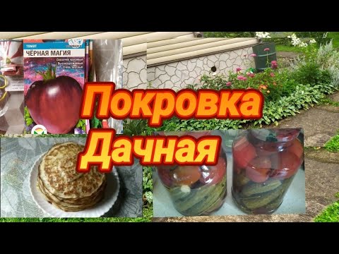 Видео: Дача, жду гостей, кое что продали, и кое что купили