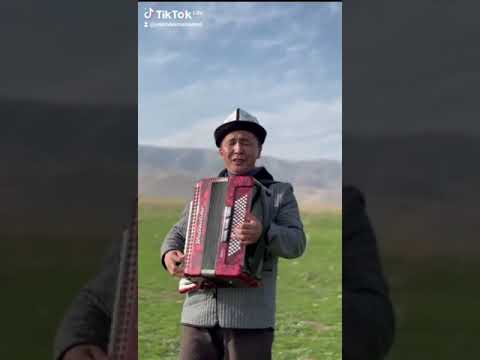 Видео: 16 ноября 2024 г.