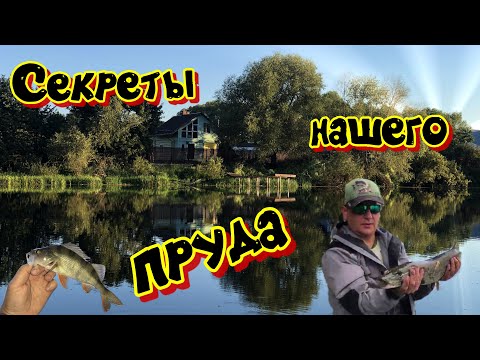 Видео: Секреты нашего пруда