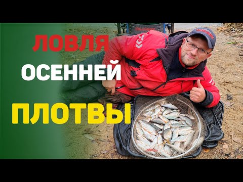 Видео: ловля осенью на водохранилище