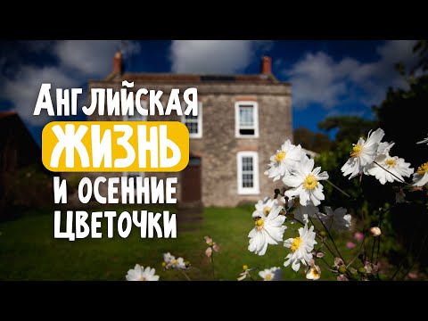 Видео: Почему англичане не мерзнут, какие цветы посадить на зиму и музей английской жизни.