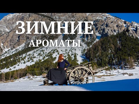 Видео: Зимние ароматы