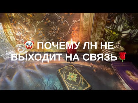 Видео: 11 ноября 2025 г.