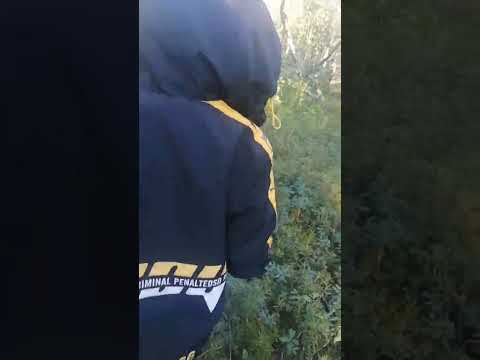 Видео: я с братьями пошол в лес! видео (2022).