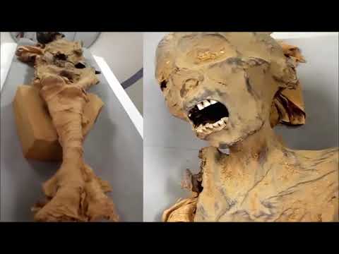 Видео: Пустота в пирамиде Хеопса: научное открытие или обман?