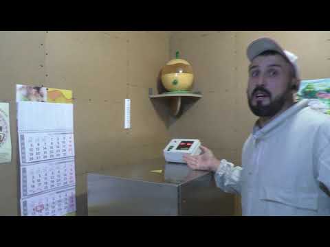 Видео: Сушим пергу на нашей новой сушилке от компании Beestar )))