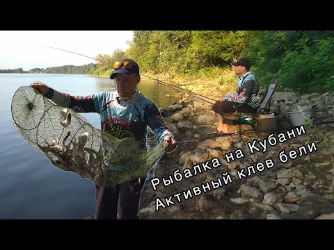 Видео: Рыбалка на Кубани Активный клев бели