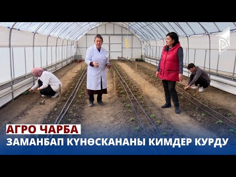 Видео: Заманбап күнөскананы кимдер курду | Агро Чарба