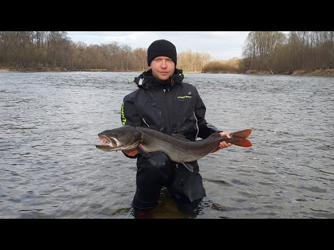 Видео: р. Анюй. Май. К рыбным местам через коряжник.