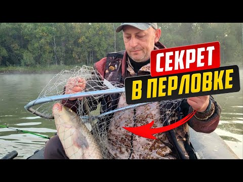 Видео: Секреты успешной рыбалки: 6 САЗАНОВ за 1 день на реке Обь