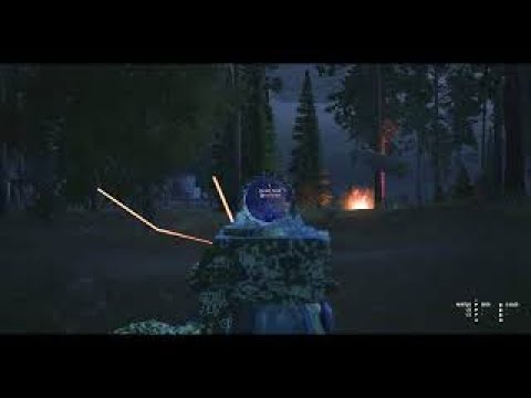 Видео: STALKER ONLINE | VALKNUT | Атака грибников