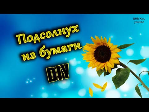 Видео: Самый красивый подсолнух. Мастер-класс. Подсолнухи из гофрированной бумаги. Sunflower made of paper