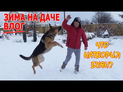 Видео: Наша дача зимой. Красивый зимний сад. Что натворил БУЯН?