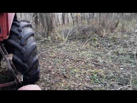 Видео: Т 25 на ДОНовских катках прет за дровами!