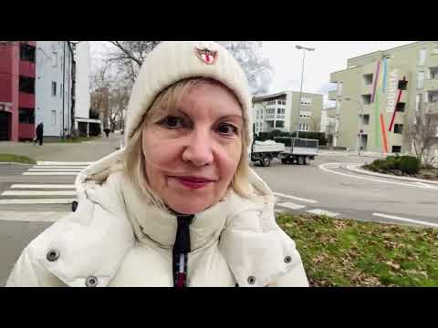 Видео: Нотариус. Бездомные животные. Надгробный камень и целая коробка витаминов.