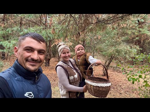 Видео: Справжній вихідний. Перший похід за грибами в цьому сезоні. 