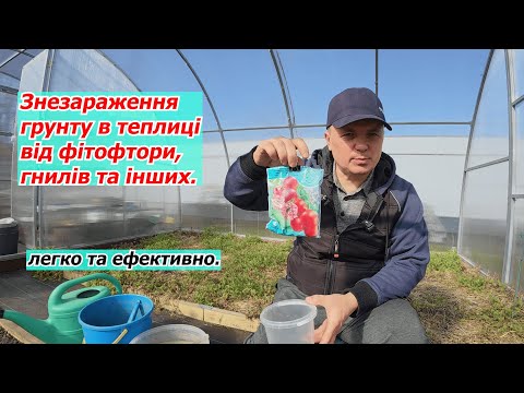 Видео: Знезаражуємо грунт в теплиці за допомогою фітоспорину- як це робимо.