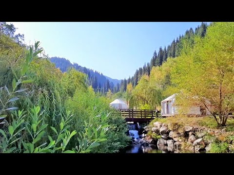 Видео: 150.Горный курорт Oi Qaragai Lesnaya Skazka Алматы