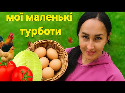 Видео: Домашні турботи та  прості дрібниці