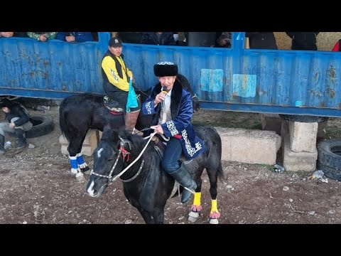 Видео: 24.11.2024 Қазығұрт ауданы Жаңаталап елді мекені Нұрбек атамыздың көкпар тойы