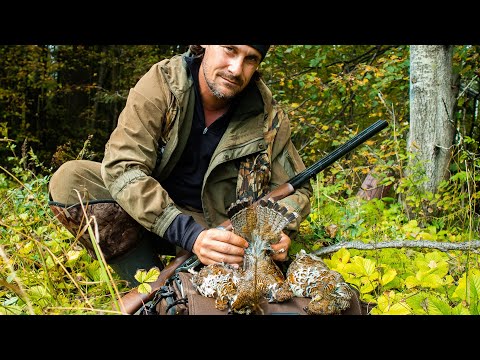 Видео: Рябчики свистят со всех сторон! Открытие сезона охоты на рябчика в осеннем лесу [Пора добывать дичь]