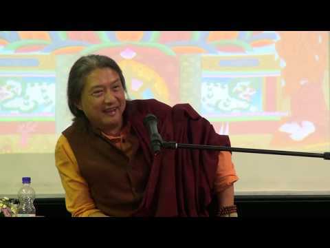 Видео: Гьетрул Джигме Ринпоче. Здоровый ум – здоровое тело