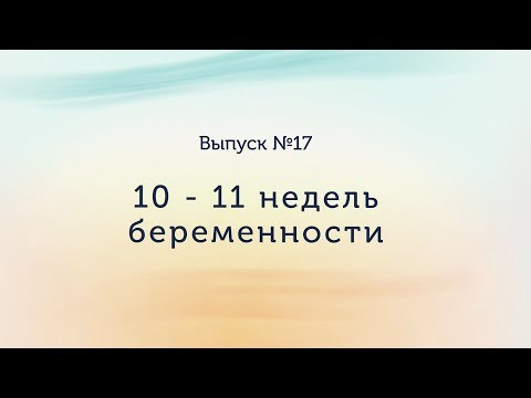 Видео: 10 - 11 недель беременности