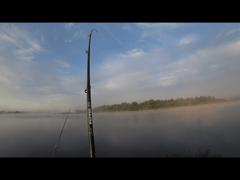 Видео: Хорошая рыбалка. С ночевкой. Река Луга. Грибы.