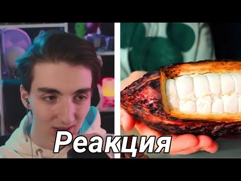 Видео: РЕАКЦИЯ РЕДФИДА НА: Я СДЕЛАЛ ШОКОЛАД С НУЛЯ "SlivkiShow"