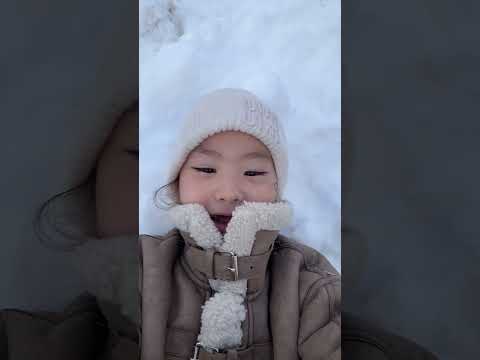 Видео: 5 ноября 2025 г.