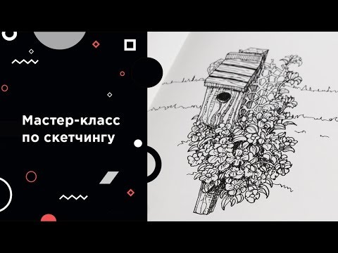 Видео: Как НАУЧИСЬ РИСОВАТЬ с нуля: урок скетчинга