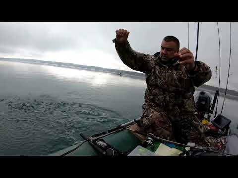 Видео: Водохранилище Аларкон,открытие сезона,судак,щука на воблера,паралон.