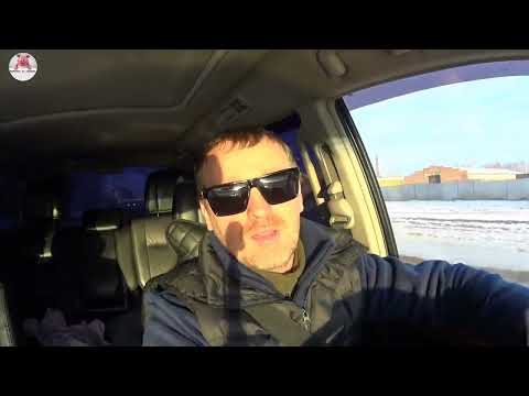 Видео: Моё мнения с чего начинать свиноводство.