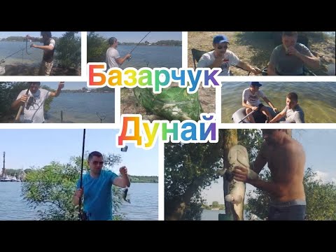 Видео: #Базарчук, Бузунчук, Дунай, отдых на рыбалке, Фидер. #Сом #РыбалкаСночевкой